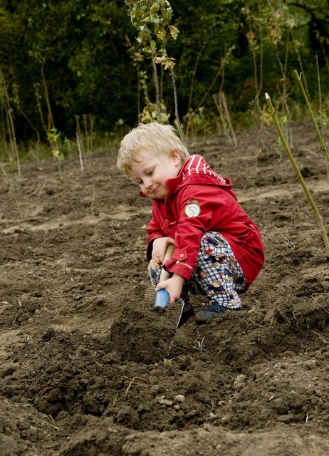 Am 3. Oktober können Kinder und Erwachsene gemeinsam  Bäume im "Wald der jungen WienerInnen" pflanzen. | Foto: Barbara Mair