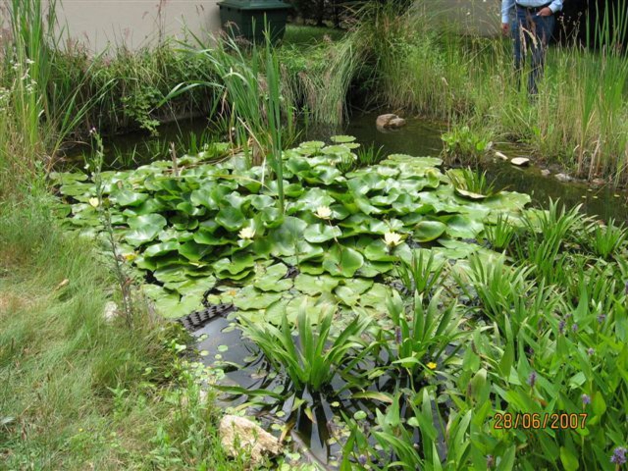 Zur Erinnerung Der Gartenteich Favoriten