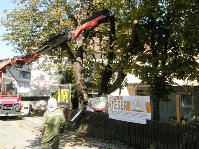 Sogar ein Kran musste für den abgebrochenen Ast in Groß St. Florian eingesetzt werden. | Foto: FF Groß St. Florian