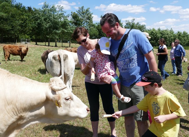Beim Tag des Weidezauns erlebten Kinder und Erwachsene die Hochlandrinder hautnah. | Foto: Buchinger