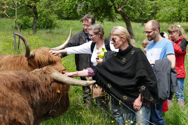 Foto: Buchinger