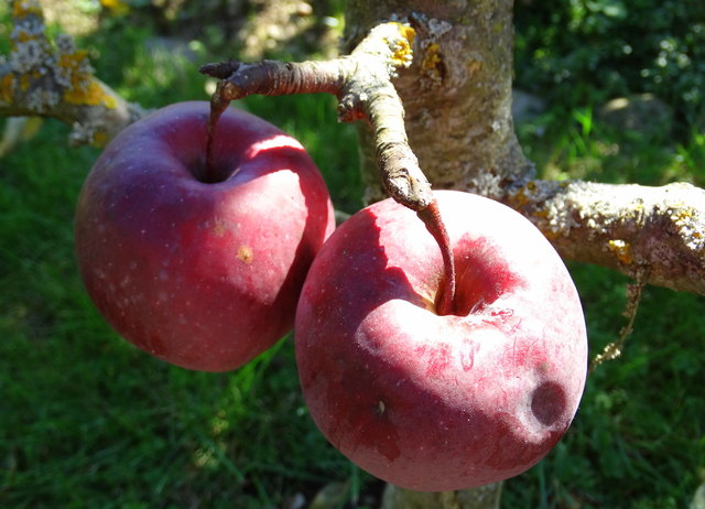Was sind wir doch für ein genügsames Pärchen!
