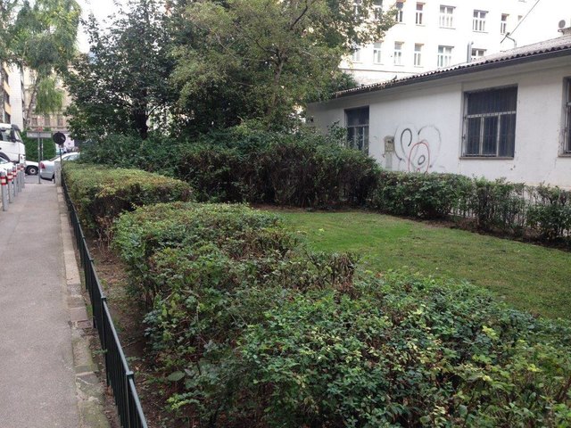 Die neu gestaltete Grünfläche kann sich sehen lassen. | Foto: MA 42