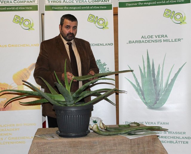 Aloe Vera-Produkte selbst herstellen - Steinfeld
