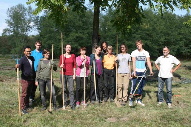 Im Pflegeeinsatz in Ringelsdorf, wo die Wiese am Sandfeld "beackert" wurde. | Foto: Naturschutzbund