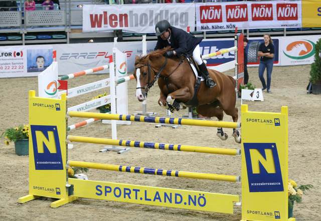 2014 kam, sah und siegte er bereits zum zweiten Mal im Großen Preis des Landes Niederösterreich – heuer tritt Hugo Simon zur Titelverteidigung an, denn alle guten Dinge sind drei! | Foto: © Krisztian Buthi