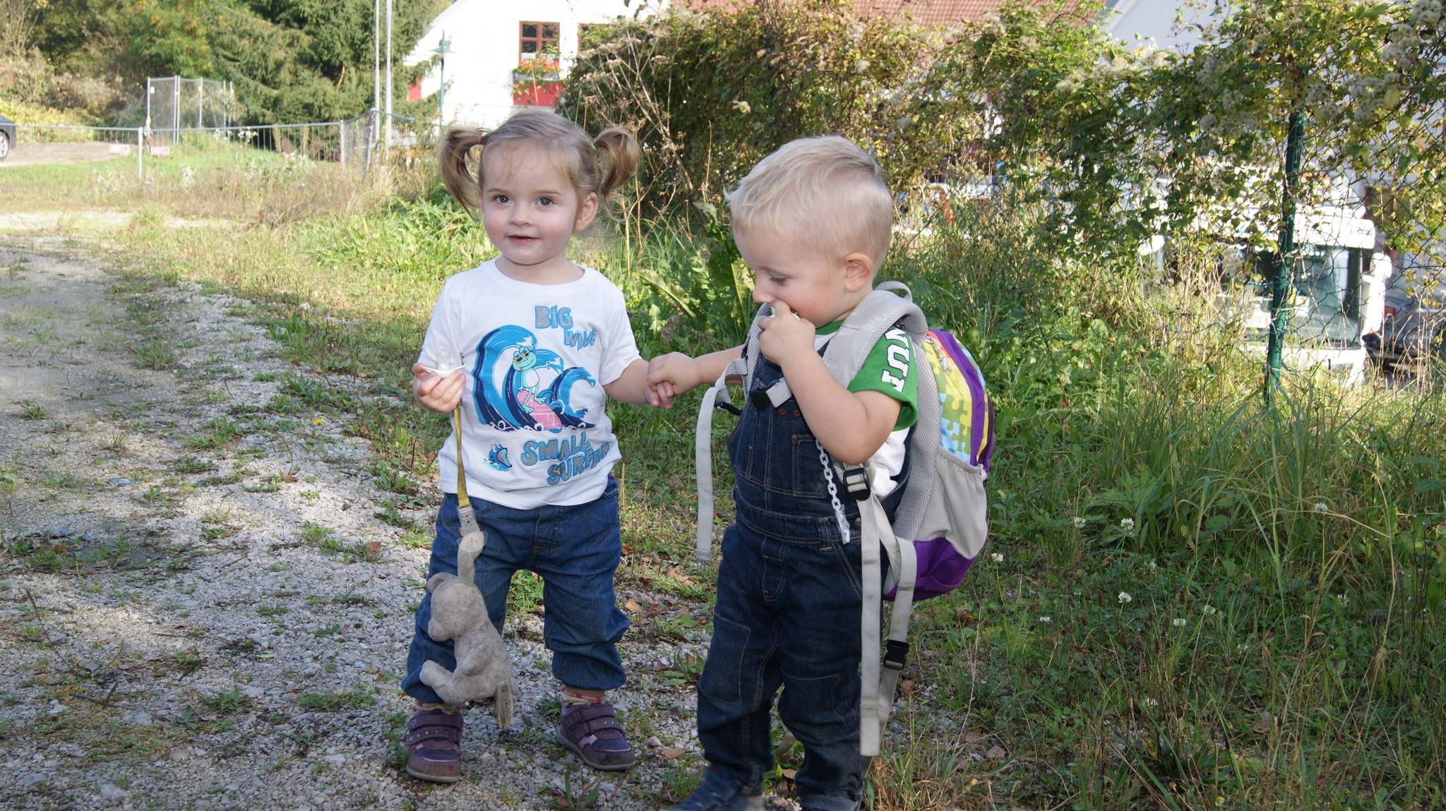 35-internationaler-wandertag-des-fvvv-mauerbach-purkersdorf