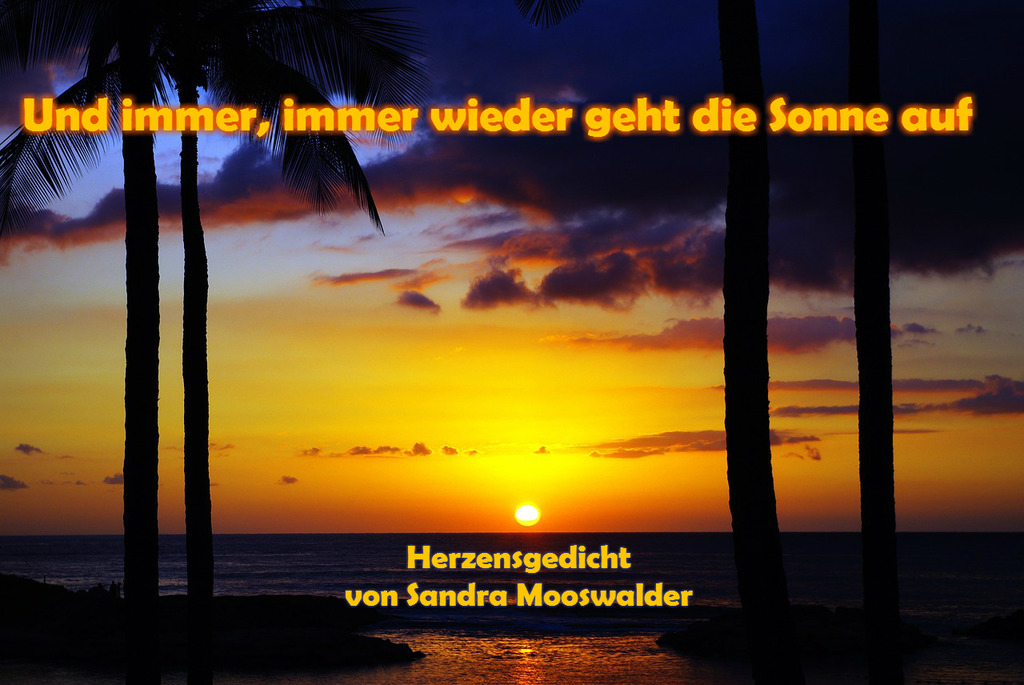 Und Immer Immer Wieder Geht Die Sonne Auf Wolfsberg