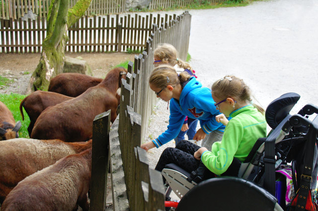 20 Kinder mit Beeinträchtigungen besuchten kürzlich den Salzburger Zoo. | Foto: dm/Malzer