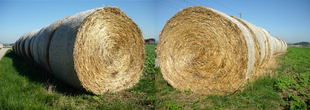 Riesenstroh (oder -heu)walzn...