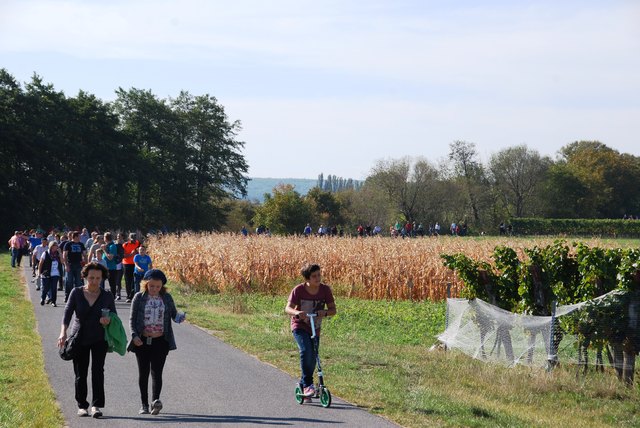 Wandergruppe