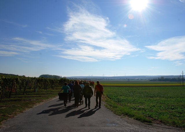 Los gehts - 9,6 km Wanderung