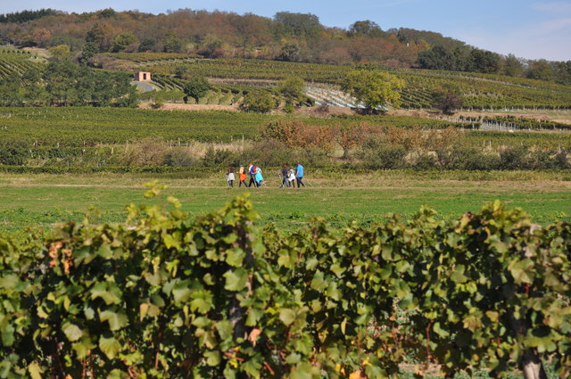 Kuehbergweg