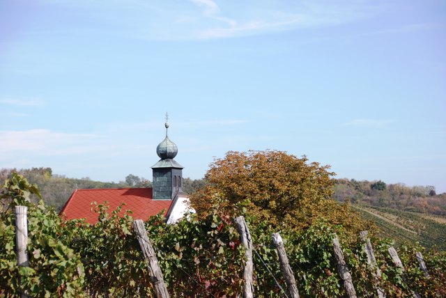 am Weg zur Labestation 2