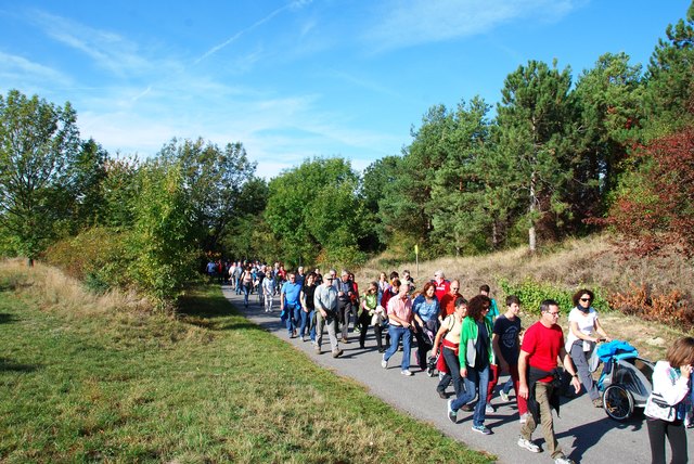 Wandersleut'