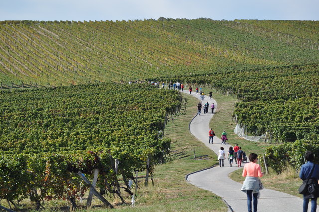 Auf dem Weg zur Donatuskapelle