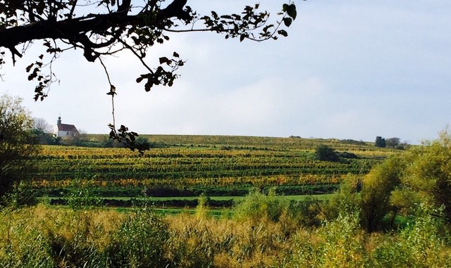 Herbstzauber