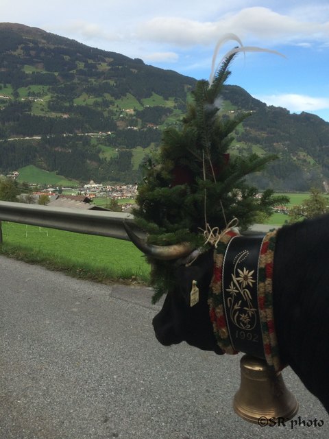 immer mit einem wunderbarem Blick ins Tal