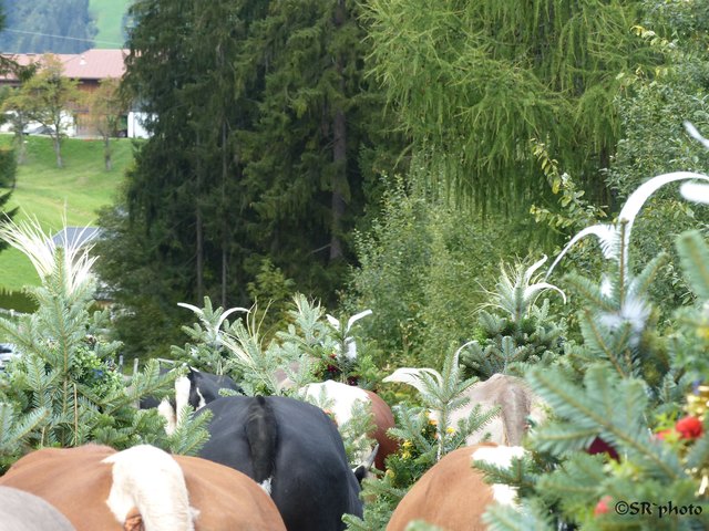 mal von hinten ;-)