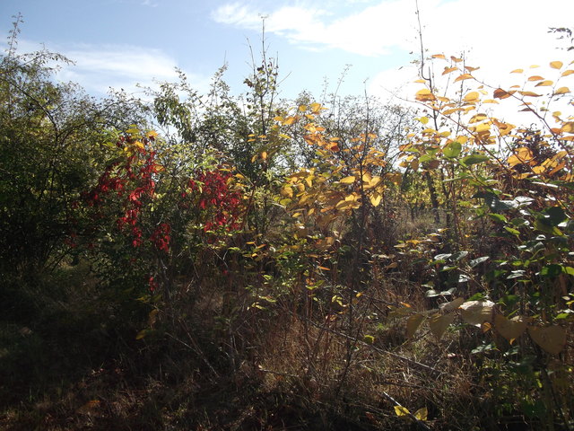 Herbstfarben