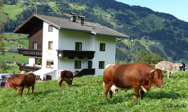 wieder Daheim