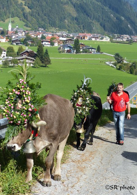 die letzten Meter mit Bauer Fritz und herrlichem Ausblick auf Zell am Ziller