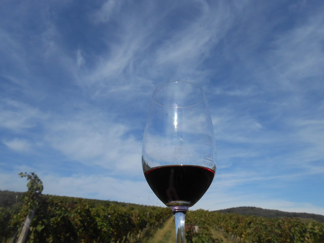Ich hole die Sonne ins Glas