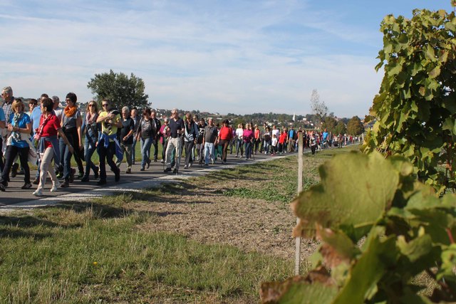 Hoch motiviert in die Weinrieden