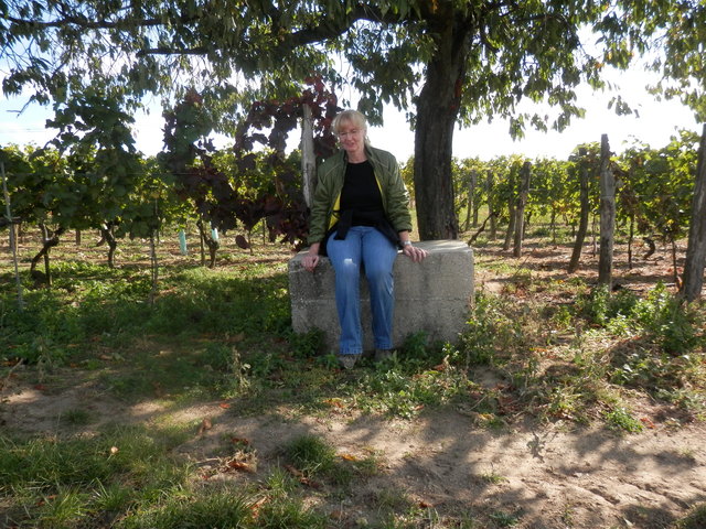 Pause unterm Kirschbaum