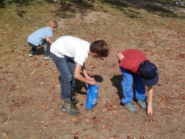 Kinder & Kastanien