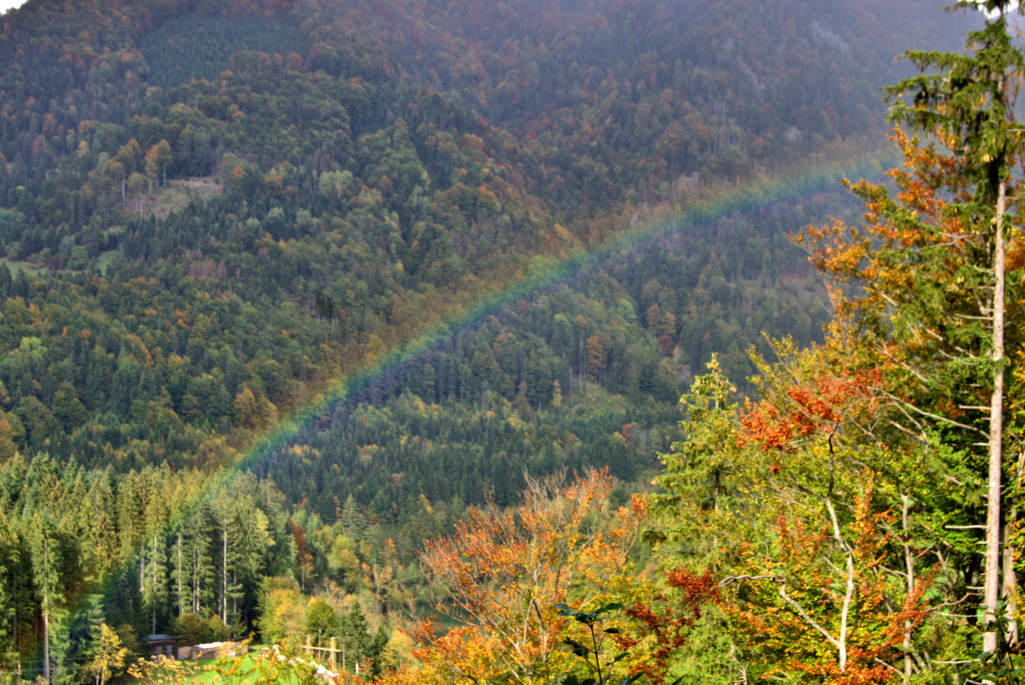 Wer Den Regenbogen Will Muss Den Regen In Kauf Nehmen Wer den Regenbogen will, muss den Regen in Kauf nehmen (John Green