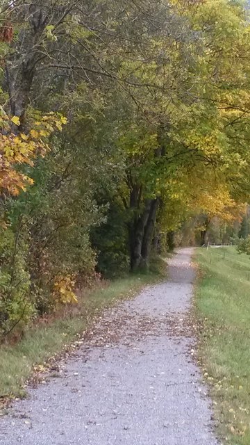 Herbstspaziergang