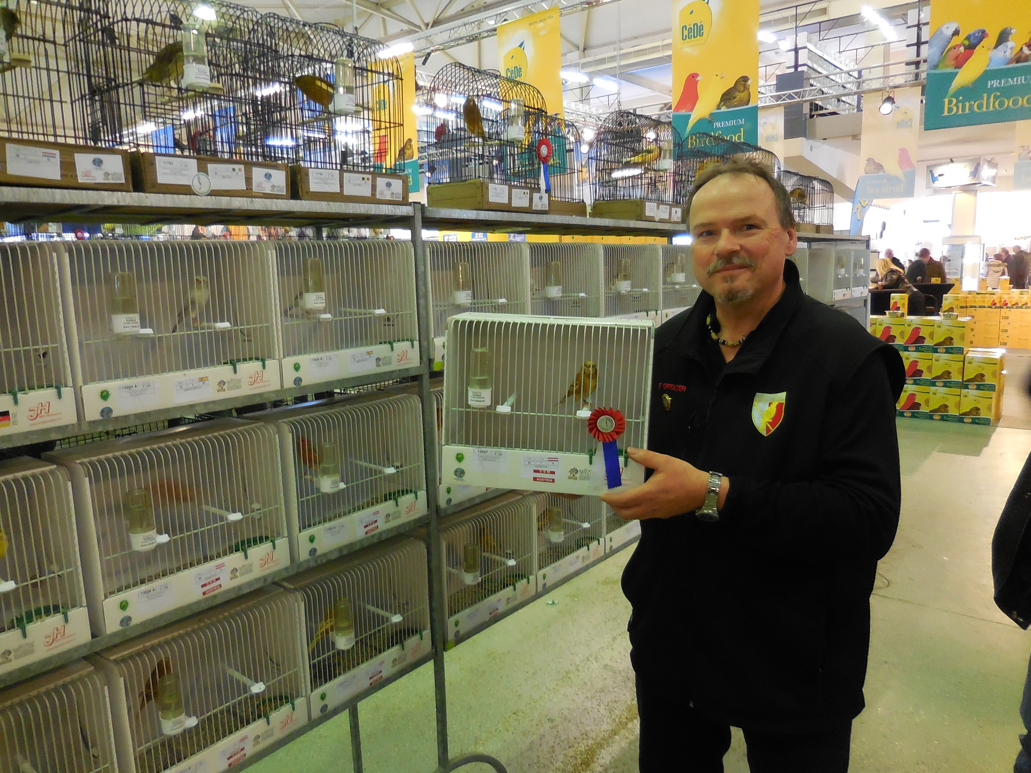 Vogelzüchter treffen sich in der Neuen Heimat - Linz