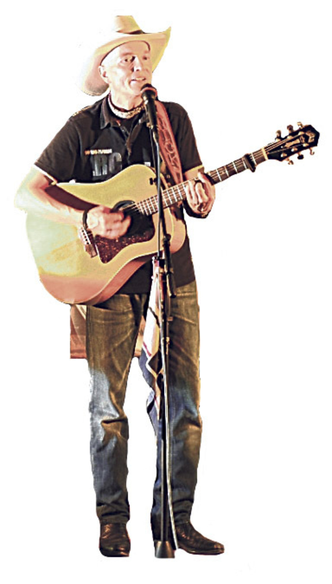 CountryMusik auf dem Inn Schärding