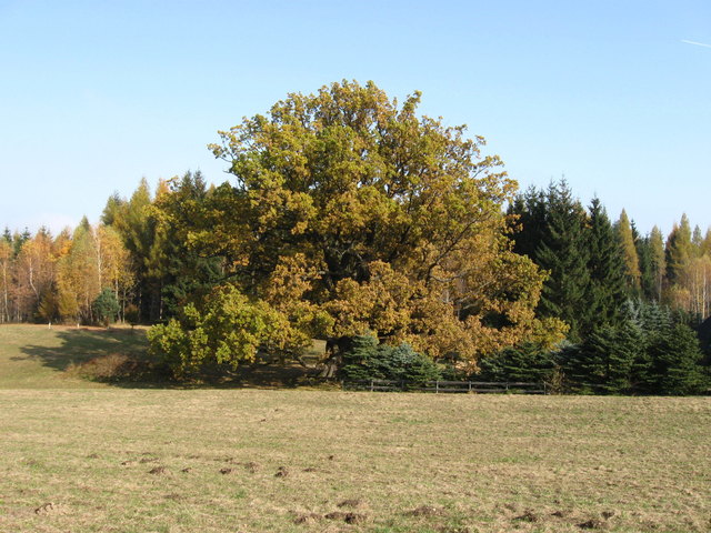 Foto: Gemeinde