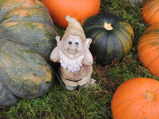 Hurra, der Herbst ist da!!!