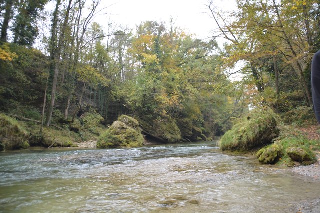 In der Erlaufschlucht findet man viele zoologische und botanische Besonderheiten.