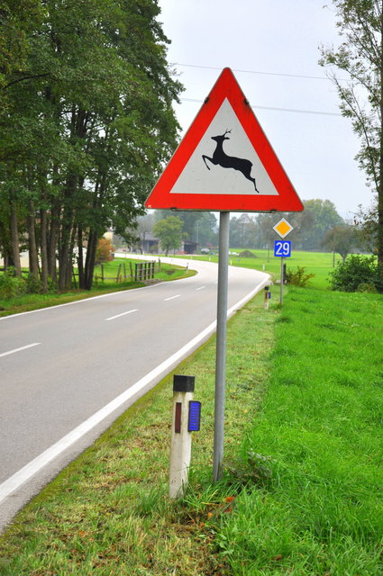 Sowohl die Verkehrstafel als auch die Reflektoren weisen auf die Gefahr von Wildtieren hin.