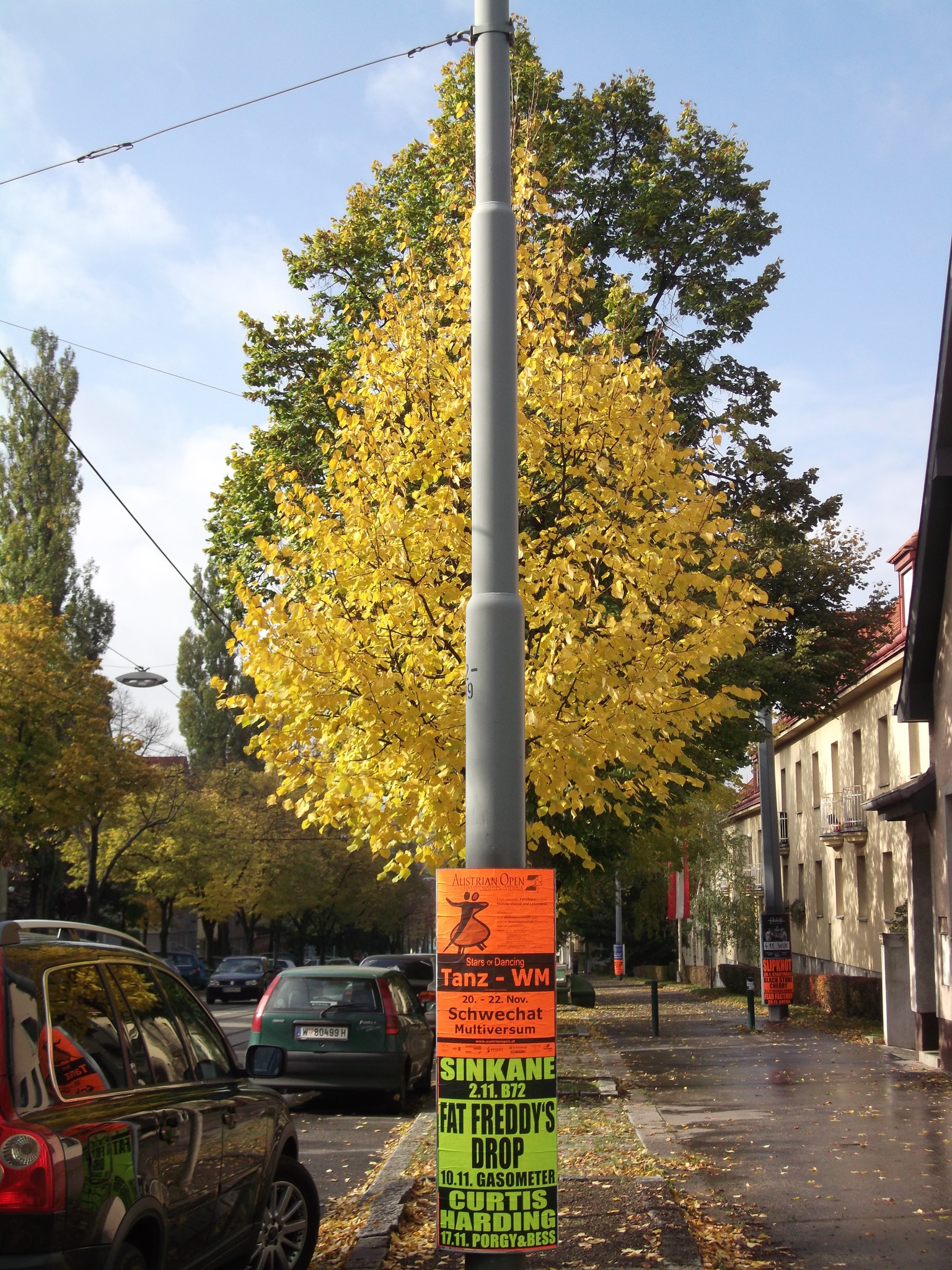Wie Viel Grad Celsius Heiß Kann Eine Kerzenflamme Werden