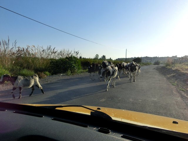 Verkehrshindernisse . . .