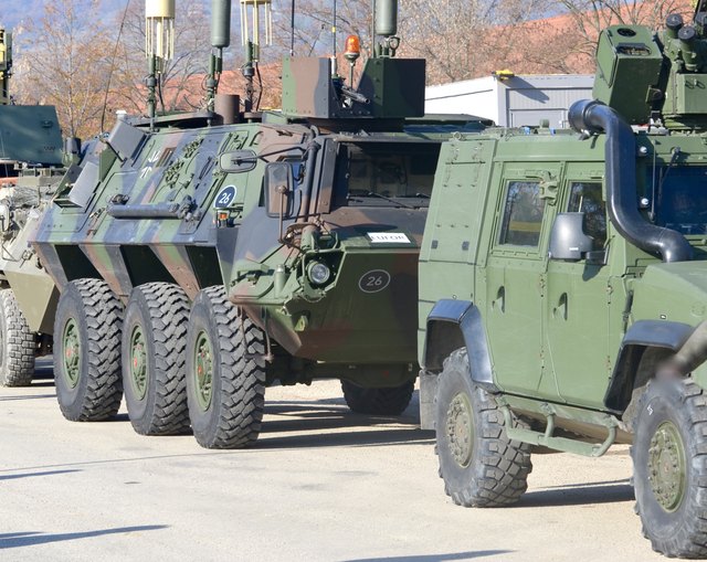 Einrollen der Battlegroups in Mautern