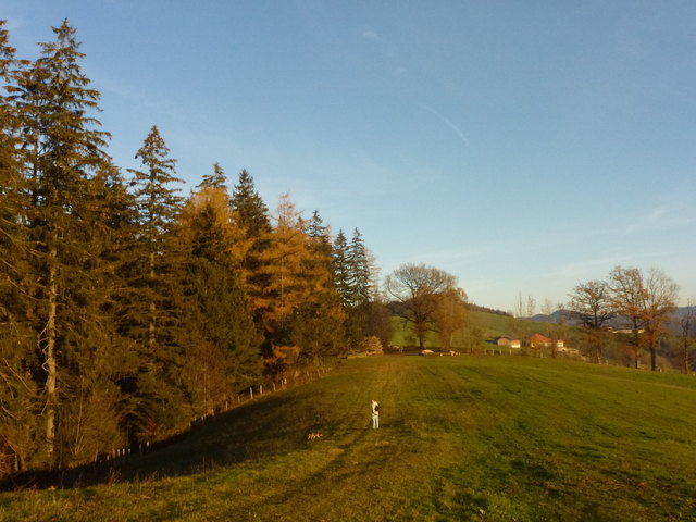 am Panorama Weg