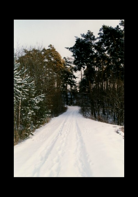 Im verschneiten Hessendorf