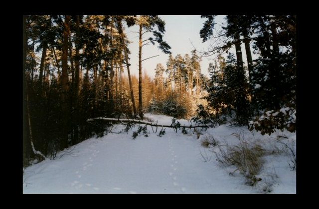 Im verschneiten Hessendorf