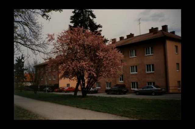 Der Beginn des Stadtparks auf einer Aufnahme aus dem zeitigen Frühjahr