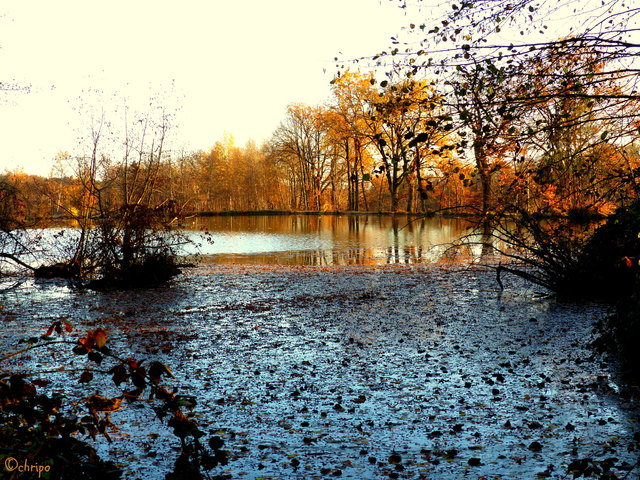 EichleitnTeiche (TerlerTeiche) HartbergFürstenfeld