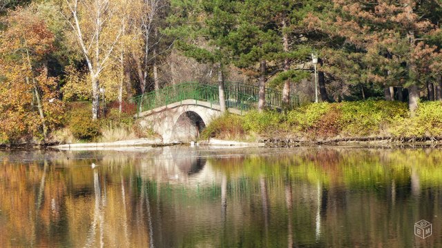 Wasserpark, Wien-Floridsdorf