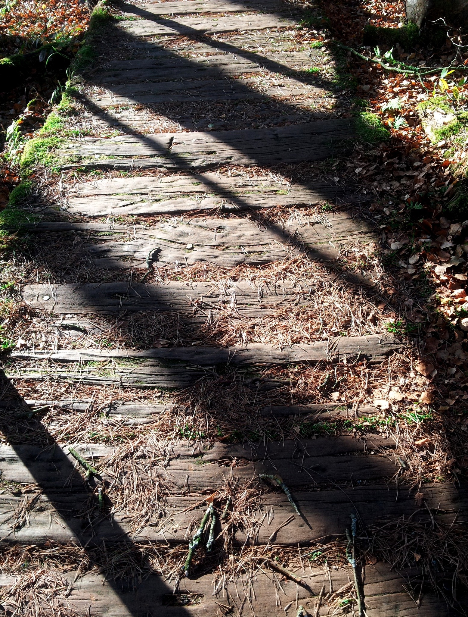 Wenn die Schatten länger werden . . . Reutte