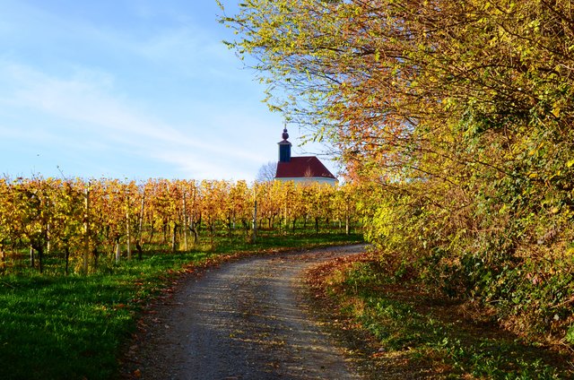 DIE KERBER - Konzerte, Lesungen, Kabarett, Ausstellungen - im Theresienkeller. Foto von uns mit Blick auf Theresienkapelle. Foto: Cornelia Kerber