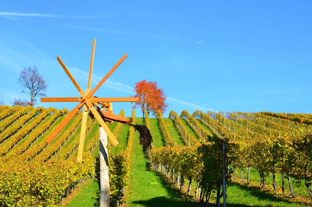 Sausal, Steiermark, Nahe Kitzeck. Foto: Cornelia Kerber